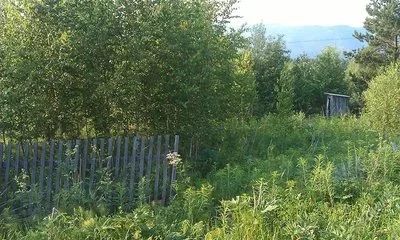 Лот: 897345. Фото: 1. Земельный участок в Овсянке "Манская... Земельные участки