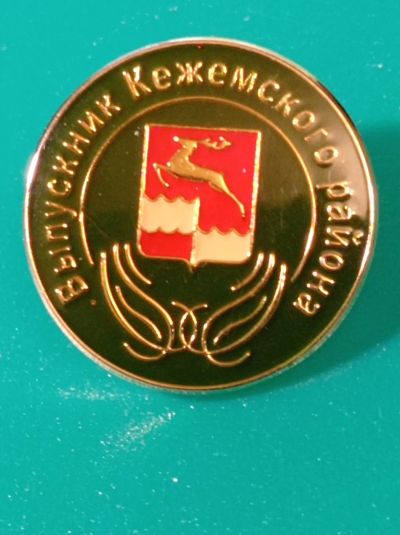 Лот: 25037825. Фото: 1. Значок. Выпускник Кежемского района... Сувенирные