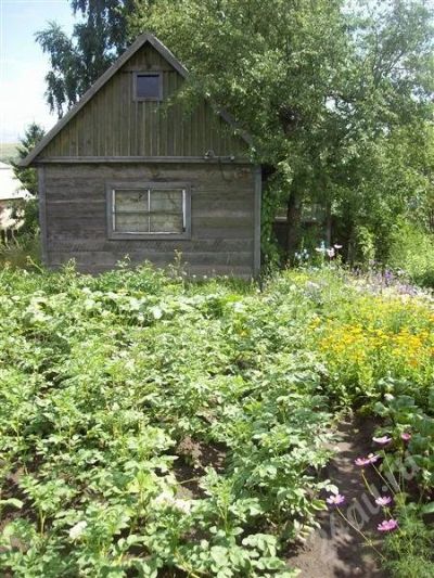 Лот: 464780. Фото: 1. Дача. Дачи