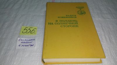 Лот: 10478553. Фото: 1. В полдень на солнечной стороне... Художественная