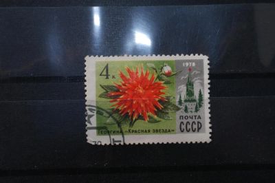 Лот: 3991998. Фото: 1. марки СССР 15 Георгина "Красная... Марки