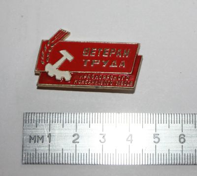 Лот: 25703037. Фото: 1. РЕДкий знак: Ветеран Труда Красноярского... Сувенирные
