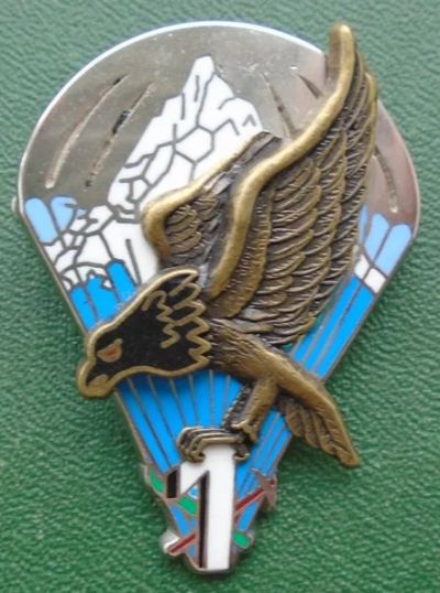 Лот: 16363605. Фото: 1. Французский парашютный знак. Другое (значки, медали, жетоны)