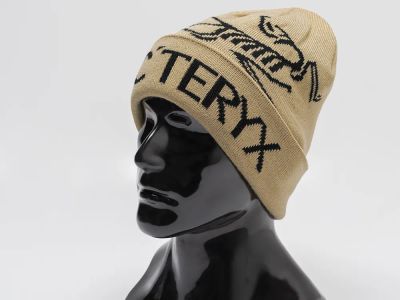 Лот: 21106283. Фото: 1. Шапка Arcteryx. Шарфы, платки