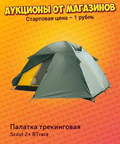 Лот: 24402058. Фото: 1. Палатка BTrace Scout 2+. Палатки, тенты