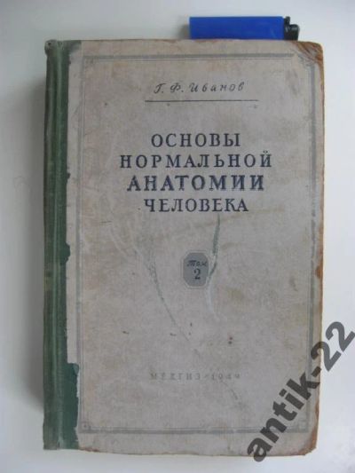 Лот: 6269031. Фото: 1. Основы нормальной анатомии человека... Традиционная медицина