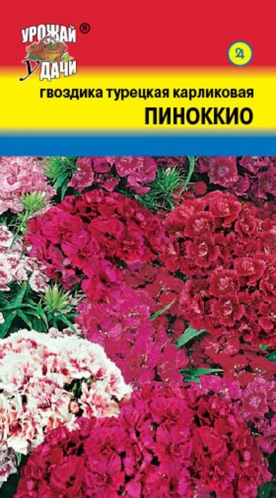 Лот: 12844106. Фото: 1. Семена гвоздики турецкой карликовой... Садовые цветы