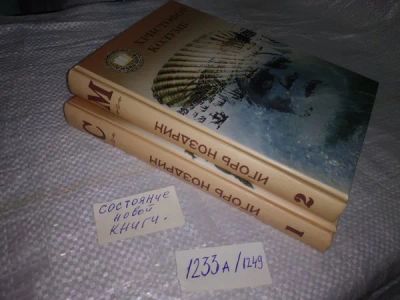 Лот: 19899423. Фото: 1. Ноздрин И. Христофор Колумб. В... Художественная