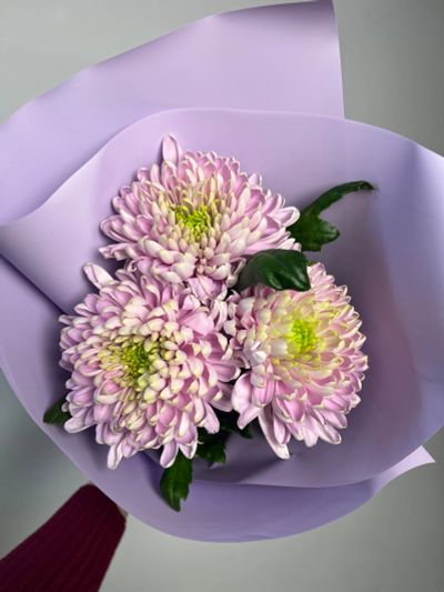 Лот: 25128727. Фото: 1. 4. Букет-комплимент из хризантем. Свежие цветы