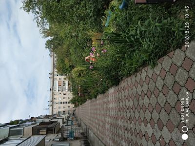 Лот: 12045541. Фото: 1. 1к квартира Продам. Квартиры, студии