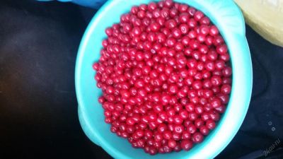 Лот: 5879413. Фото: 1. Продам свежую ягоду: вишня на... Ягоды, орехи
