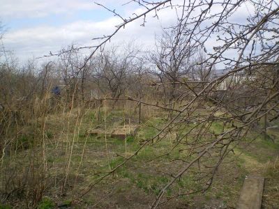 Лот: 4423604. Фото: 1. Участок около Николаевки(общество... Земельные участки