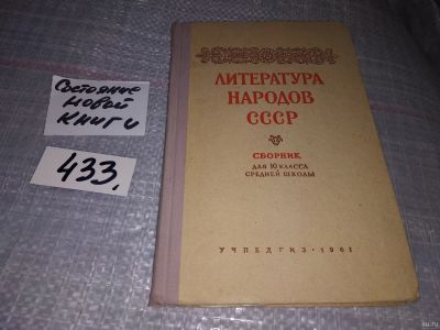 Лот: 18180243. Фото: 1. Климович Л.И. Литература народов... Для школы