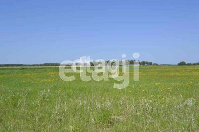 Лот: 25285963. Фото: 1. участок , село Талое село Талое... Земельные участки