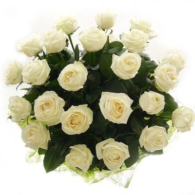 Лот: 3484186. Фото: 1. Букет из 11 прекрасных роз (разные... Свежие цветы