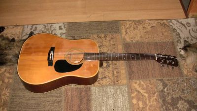 Лот: 7579351. Фото: 1. Morris W-20, made in Japan. Гитары