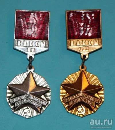 Лот: 8840251. Фото: 1. 2 знака на подвесках: Молодой... Юбилейные