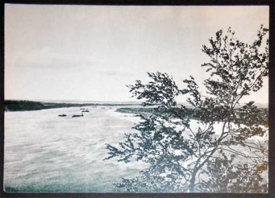 Лот: 6912128. Фото: 1. Открытка Красный бор. 1956. (09992о... Открытки, конверты