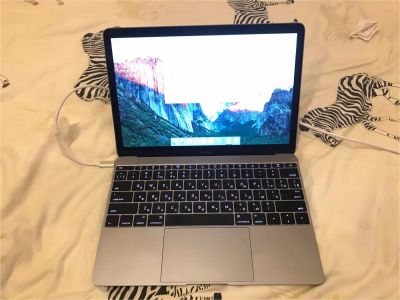 Лот: 10637527. Фото: 1. Apple MacBook 12" Retina Серый... Ноутбуки