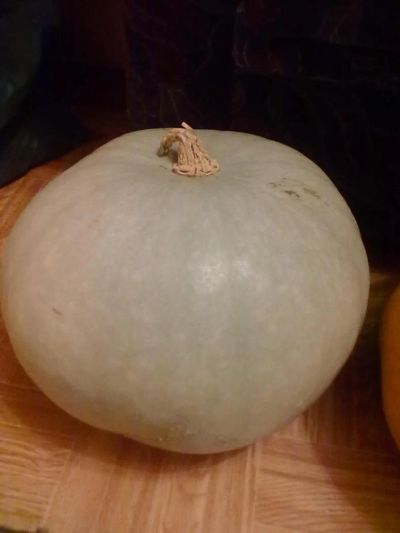 Лот: 3435377. Фото: 1. Тыква вкусная и очень полезная... Консервы