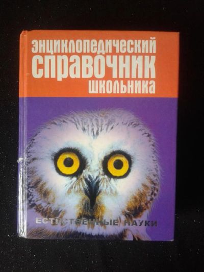 Лот: 10045588. Фото: 1. Энциклопедический справочник школьника... Справочники