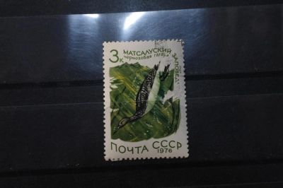 Лот: 3991955. Фото: 1. марки СССР 11 Чернозобая гагара... Марки