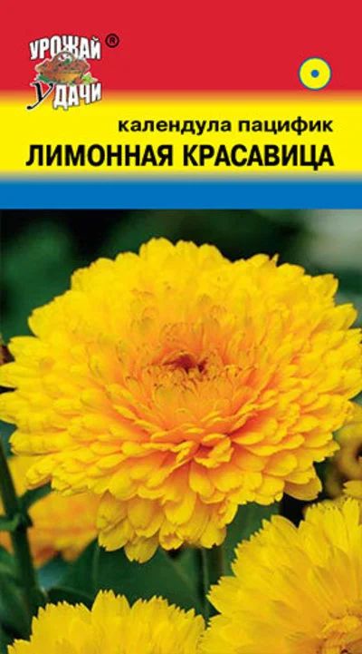 Лот: 12876844. Фото: 1. Семена календулы махровой "Лимонная... Садовые цветы