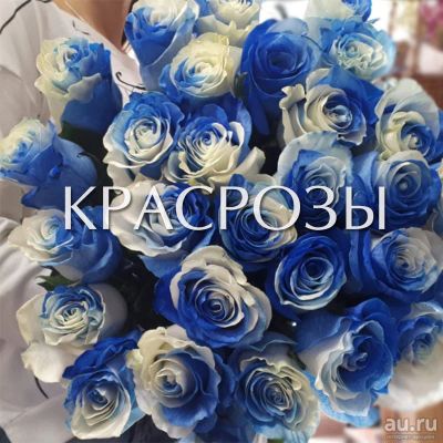 Лот: 11985389. Фото: 1. Розы Magic Blue в Красноярске... Свежие цветы