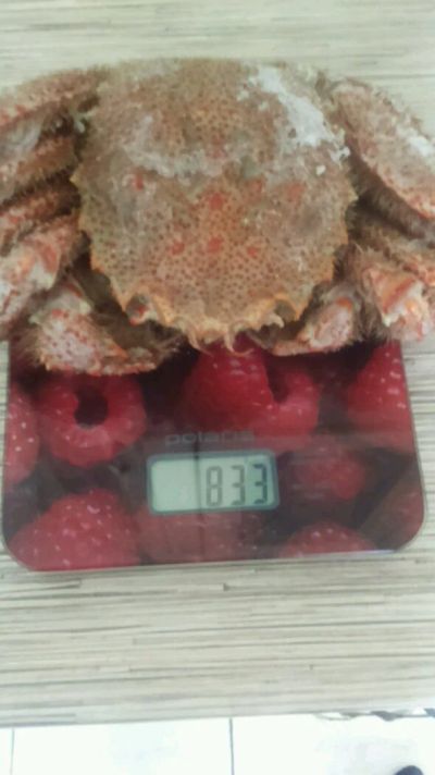 Лот: 11290347. Фото: 1. Краб волосатик. Икра, рыба, морепродукты