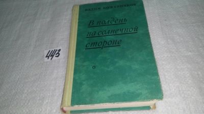 Лот: 9970343. Фото: 1. В полдень на солнечной стороне... Художественная
