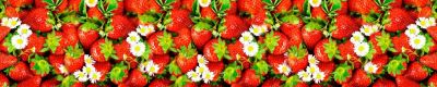 Лот: 10877436. Фото: 1. Фартук для кухни Клубника 2. 3метра... Столешницы, барные стойки