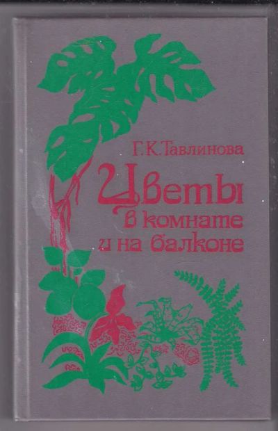 Лот: 23439863. Фото: 1. Цветы в комнате и на балконе. Сад, огород, цветы