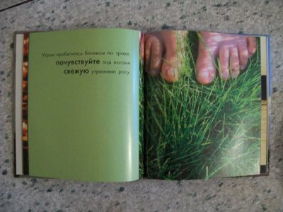 Лот: 5478569. Фото: 1. Маленькая книга большого счастья... Другое (литература, книги)