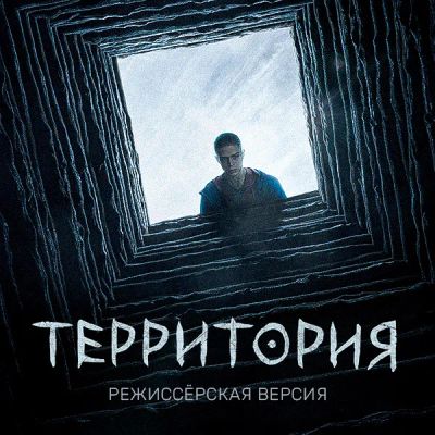 Лот: 24291626. Фото: 1. Территория. Режиссёрская версия. Видеозаписи, фильмы
