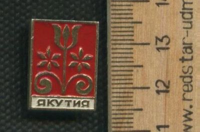 Лот: 17499099. Фото: 1. ( № 8723 ) значки,Якутия (Красноярская... Сувенирные