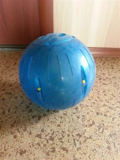 Лот: 2900046. Фото: 1. Прогулочный шар(хомяк,дегу и т... Игрушки для животных