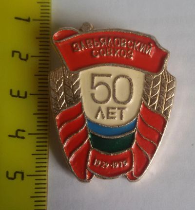 Лот: 11626734. Фото: 1. Редкий Значок: Завьяловский совхоз... Юбилейные