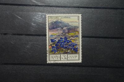 Лот: 4375452. Фото: 1. 1976 Цветы Кавказа (4597). Марки