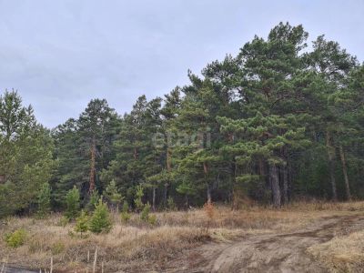 Лот: 20614391. Фото: 1. Продам участок 10 сот. Есауловское... Земельные участки