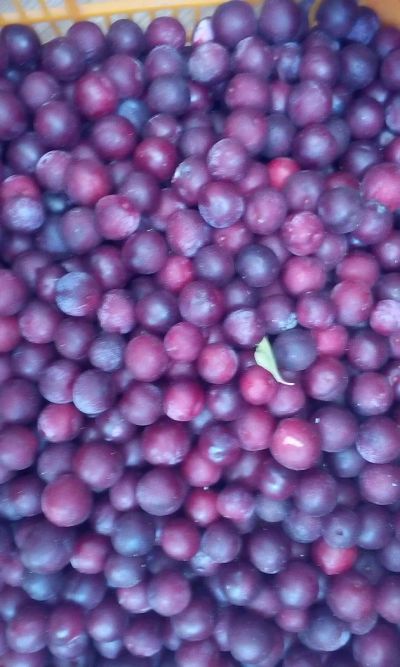 Лот: 8081899. Фото: 1. Очень вкусная сладкая слива. Овощи, фрукты, зелень