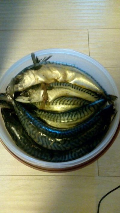 Лот: 7796051. Фото: 1. скумбрия малосоленая срочная продажа... Икра, рыба, морепродукты
