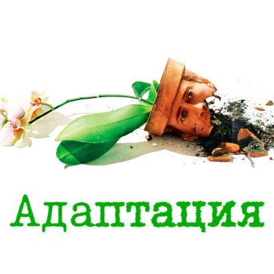 Лот: 24290662. Фото: 1. Адаптация (2002). Видеозаписи, фильмы