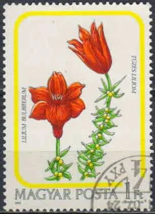 Лот: 21545164. Фото: 1. 1985. Венгрия. Цветы - Лилии... Марки