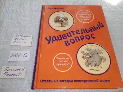 Лот: 19101791. Фото: 1. Фельдман Д. Удивительный вопрос... Познавательная литература