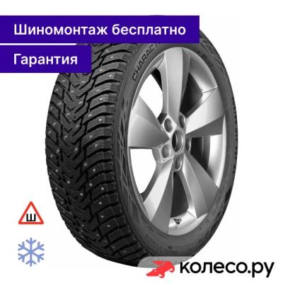 Лот: 25318651. Фото: 1. Character Ice 8 205/55 R17 95T. Шины