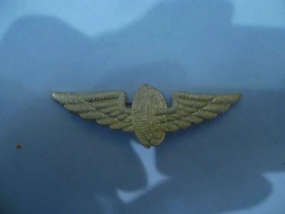 Лот: 12960452. Фото: 1. крылышки. Нашивки, шевроны, погоны
