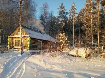 Лот: 6682051. Фото: 1. Сдам квартиру . Квартиры, студии