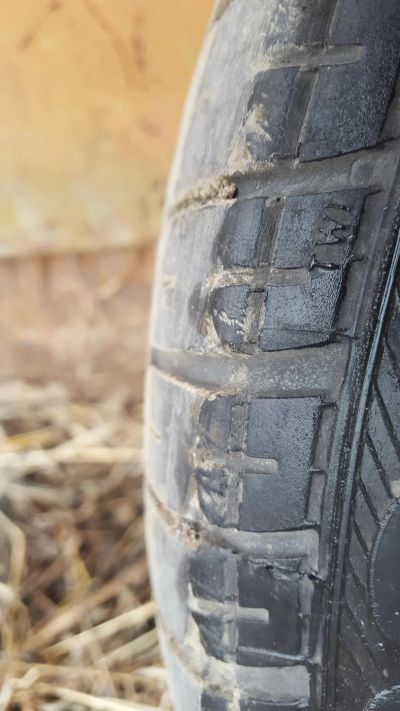 Лот: 11311788. Фото: 1. Pirelli drago P5000 195/50 r15... Шины