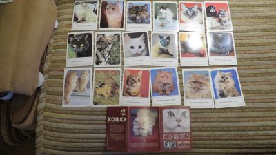 Лот: 12878431. Фото: 1. набор открыток Кошки. Открытки, конверты