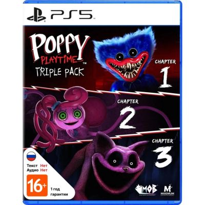 Лот: 24598719. Фото: 1. Игра для PS5 Maximum Games Poppy... Игры для консолей